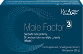 Testosteron Supplement Male Factor 3 - 60 Capsules - Maca, Arginine, Pycnogenol, Zink & Selenium- Fitheid, Spierkracht, Uithoudingsvermogen - Mannelijke Potentie - ReAge
