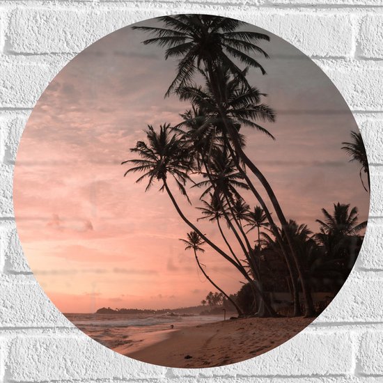 WallClassics - Muursticker Cirkel - Groepje Hoge Palmbomen op het Strand bij Zonsondergang - 50x50 cm Foto op Muursticker