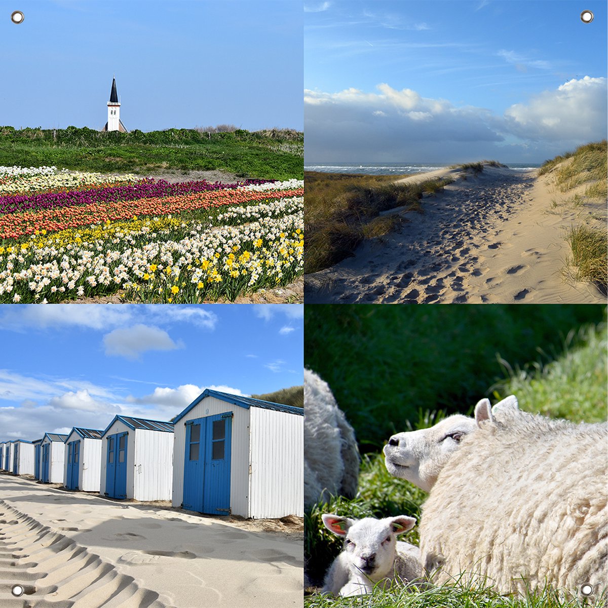 Texelphotos.nl - Foto collage als tuinposter – Texel Duinen - Duin - Strand - Strandhuisjes - Den Hoorn - Noordzee - Wolken - Lammetjes - Schapen - Tuindecoratie - Tuinposter - Natuur - Landschap - Foto collage - 90 x 90 cm.