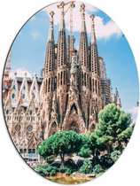 Dibond Ovaal - Sagrada Familia in Barcelona, Spanje - 51x68 cm Foto op Ovaal (Met Ophangsysteem)