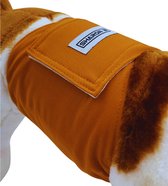 Hondenluier - Plasband - bruin - Maat S - Wasbaar - Verstelbaar 33-41 cm
