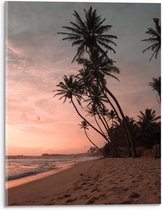 WallClassics - Acrylglas - Groepje Hoge Palmbomen op het Strand bij Zonsondergang - 30x40 cm Foto op Acrylglas (Met Ophangsysteem)