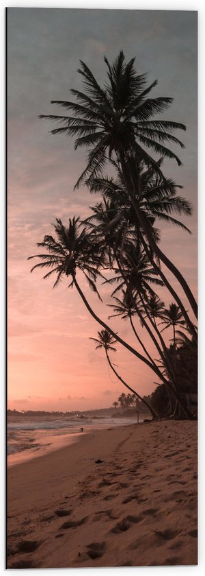 WallClassics - Dibond - Groepje Hoge Palmbomen op het Strand bij Zonsondergang - 40x120 cm Foto op Aluminium (Met Ophangsysteem)