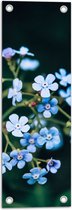 Tuinposter – Kleine Blauwe Bloemen - 20x60 cm Foto op Tuinposter (wanddecoratie voor buiten en binnen)