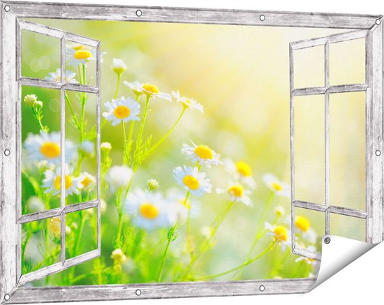Gards Affiche de jardin Fleurs de camomille Witte avec soleil - 120x80 cm - Toile de jardin - Décoration de jardin - Décoration murale extérieur - Tableau de jardin