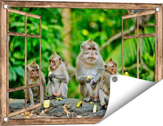 Affiche de jardin Gards transparente groupe de singes mangeant des bananes dans la forêt - 60x40 cm - Toile de jardin - Décoration de jardin - Décoration murale extérieure - Peinture de jardin