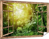 Affiche de jardin Gards Jungle tropicale transparente avec soleil - 180x120 cm - Toile de jardin - Décoration de jardin - Décoration murale extérieur - Tableau de jardin
