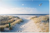 Tuinposter strand - Tuindecoratie zee duinen - 180x120 cm - Tuinschilderij voor buiten - Tuindoek zomer - Wanddecoratie tuin - Schuttingdoek - Balkon decoratie - Muurdecoratie - Buitenposter