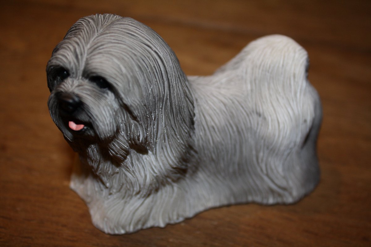 Lhaza Apso