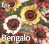 Bengalo - Foy (CD)