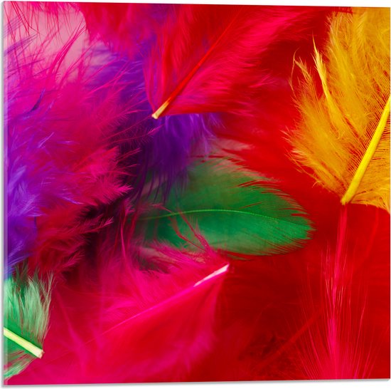 Acrylglas - Meerkleurige Veren in Felle Kleuren - 50x50 cm Foto op Acrylglas (Wanddecoratie op Acrylaat)