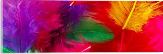 Acrylglas - Meerkleurige Veren in Felle Kleuren - 60x20 cm Foto op Acrylglas (Met Ophangsysteem)