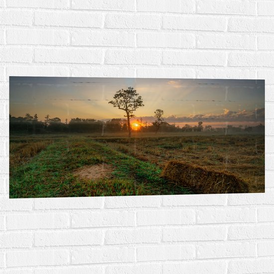 Muursticker - Opkomende Zon bij Weiland vol Geoogst Graan - 100x50 cm Foto op Muursticker