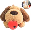 Bruine knuffelhond met een rood hartje op zijn neus. Een corgi kijkt ernaar.