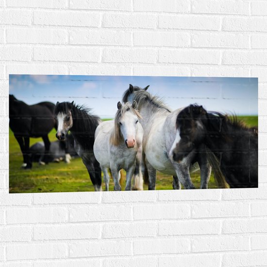 Muursticker - Kudde Wilde Paarden in Verschillende Kleuren onder Blauwe Lucht - 100x50 cm Foto op Muursticker