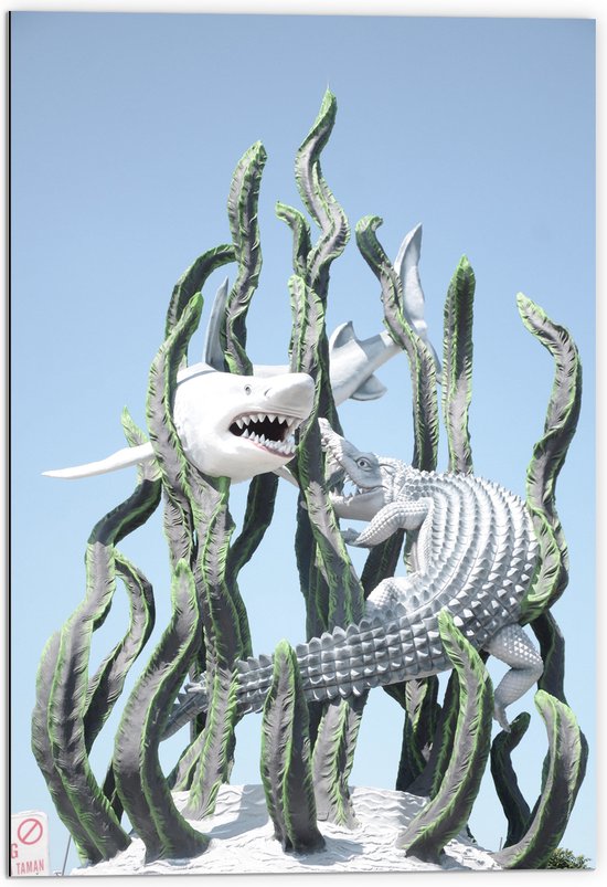 Dibond - Standbeeld van Zeedieren en -planten - 70x105 cm Foto op Aluminium (Wanddecoratie van metaal)