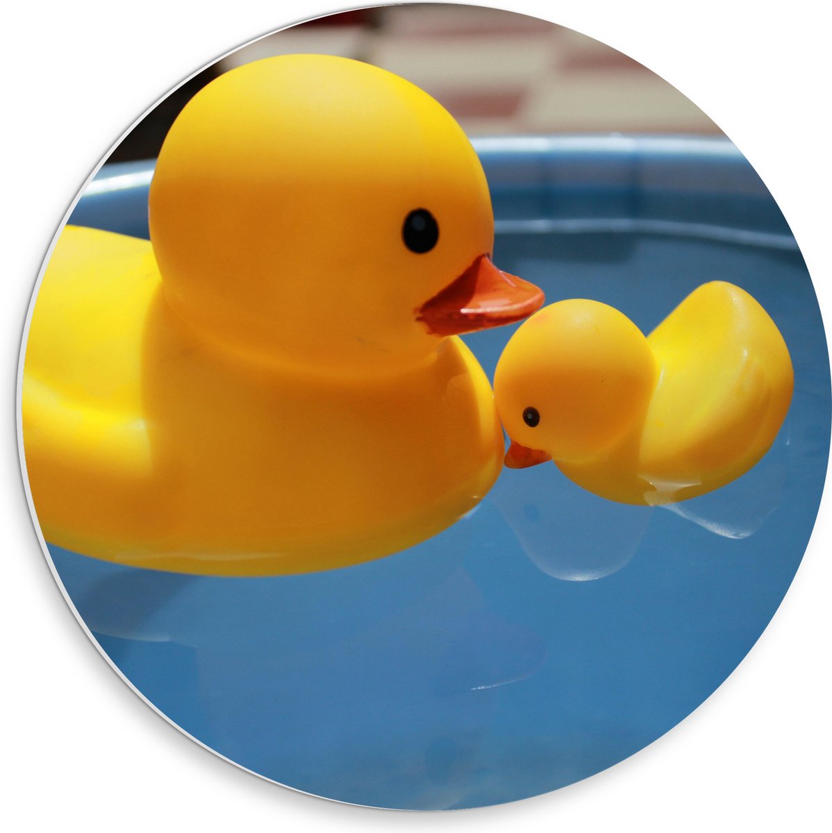 PVC Schuimplaat Muurcirkel - Moeder en Baby Badeenden in het Water - 30x30 cm Foto op Muurcirkel (met ophangsysteem)