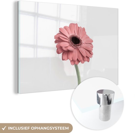 MuchoWow® Peinture sur verre 180x120 cm - Peinture sur verre acrylique - Fleurs - Rose - Nature - Wit - Plante - Photo sur verre - Peintures