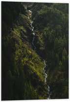 WallClassics - Dibond - Klein Stromend Water tussen Dichtbegroeide Groene Bomen - 60x90 cm Foto op Aluminium (Met Ophangsysteem)