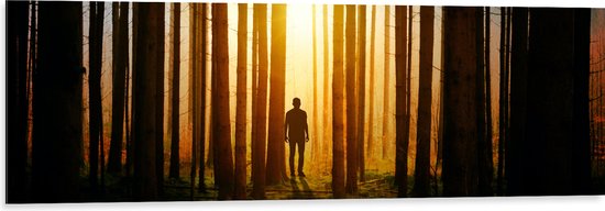 Dibond - Man in Bos met Hoge Bomen tijdens Felkleurige Zonsondergang - 120x40 cm Foto op Aluminium (Wanddecoratie van metaal)