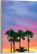 WallClassics - Hout - Palmbomen met Kleurrijke Lucht - 60x90 cm - 9 mm dik - Foto op Hout (Met Ophangsysteem)