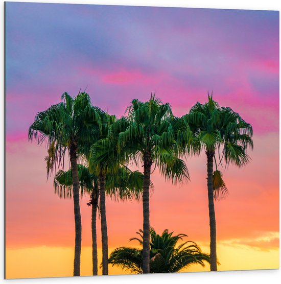 WallClassics - Dibond - Palmbomen met Kleurrijke Lucht - 100x100 cm Foto op Aluminium (Met Ophangsysteem)