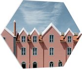 PVC Schuimplaat Hexagon - Roze Rijtjeshuizen - 80x69.6 cm Foto op Hexagon (Met Ophangsysteem)