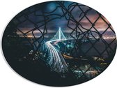 PVC Schuimplaat Ovaal - Stad in de Nacht - 68x51 cm Foto op Ovaal (Met Ophangsysteem)