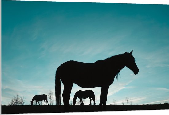 PVC Schuimplaat- Silhouet van Paarden in het Weiland onder Lichtblauwe Lucht - 120x80 cm Foto op PVC Schuimplaat