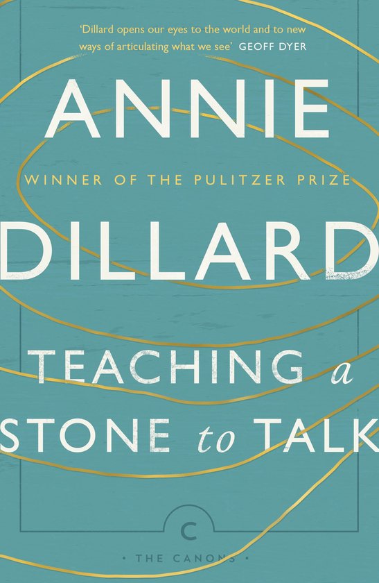 Teaching a Stone to Talk - cover
