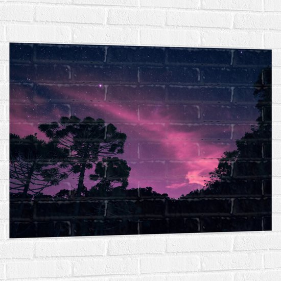 Muursticker - Paars Gekleurde Lucht boven Silhouet van Bomen - 100x75 cm Foto op Muursticker