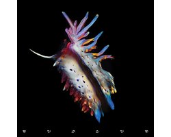 Sub Focus - Evolve (CD)