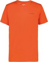 Berne T-shirt Mannen - Maat XL