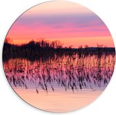 Dibond Muurcirkel - Rozekleurige Lucht boven Meer met Waterplanten - 60x60 cm Foto op Aluminium Muurcirkel (met ophangsysteem)