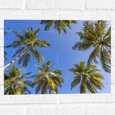 Muursticker - Onderaanzicht van Groepje Grote Palmbomen onder Heldere blauwe Lucht - 40x30 cm Foto op Muursticker