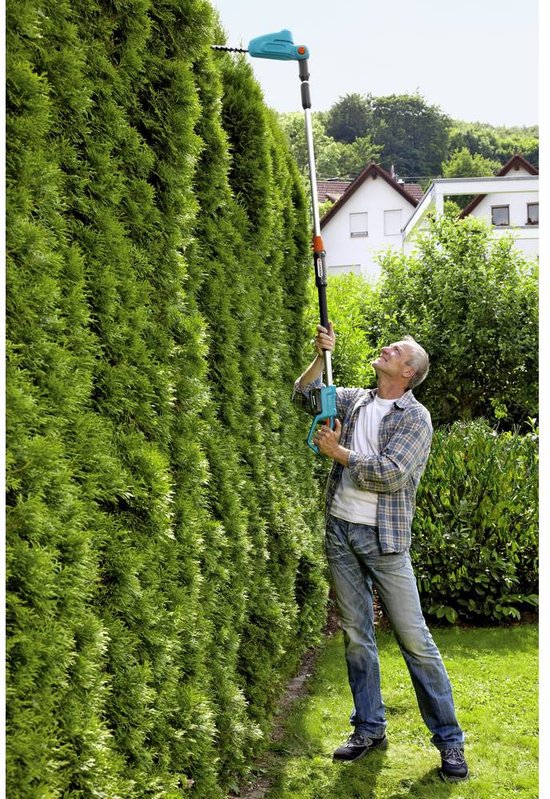 Man snoeit de bovenkant van een hoge, groene heg met een turquoise heggenschaar met steel.