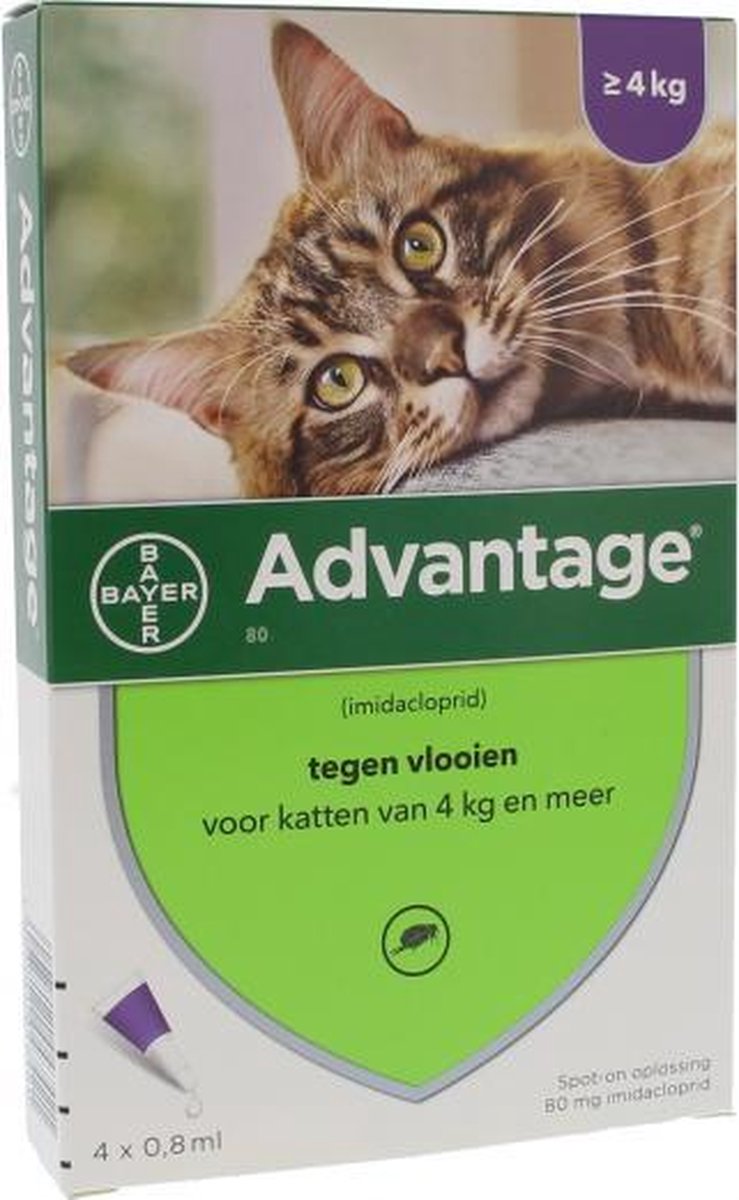 Buitengewoon pack punt Bayer Anti vlooienmiddel Advantage 80 > 4 kg - 4 x 0,8 ml | bol.com