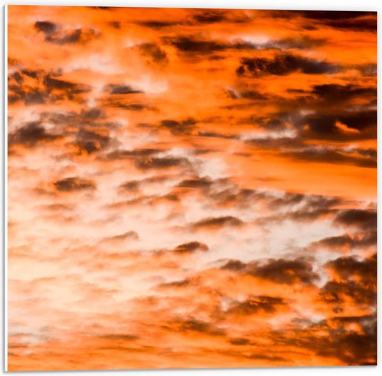 PVC Schuimplaat- Witte Wolken in Kleurrijke Lucht door Zonsondergang - 50x50 cm Foto op PVC Schuimplaat