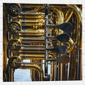Muursticker - Knoppen van Gouden Trompet - 50x50 cm Foto op Muursticker