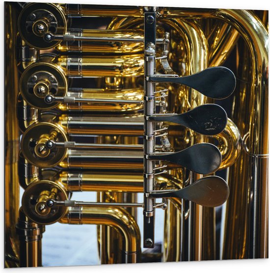 Dibond - Knoppen van Gouden Trompet - 100x100 cm Foto op Aluminium (Met Ophangsysteem)