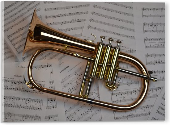 Acrylglas - Gouden Trompet op Muzieknoten Bladeren - 40x30 cm Foto op Acrylglas (Met Ophangsysteem)