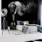 Fotobehangkoning - Behang - Fotobehang - Olifant zwart-wit - Vliesbehang - 152,5 x 104 cm