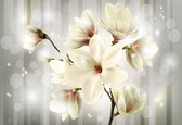Fotobehang Flowers Magnolia  | PANORAMIC - 250cm x 104cm | 130g/m2 Vlies