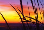 Fotobehang Beach Sunset | XXL - 312cm x 219cm | 130g/m2 Vlies