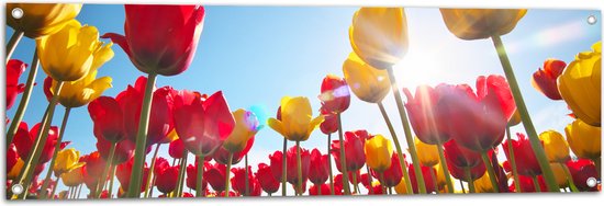 Tuinposter – Zonnestralen Vallend op Bloemenveld Vol Rode en Gele Bloemen - 120x40 cm Foto op Tuinposter (wanddecoratie voor buiten en binnen)