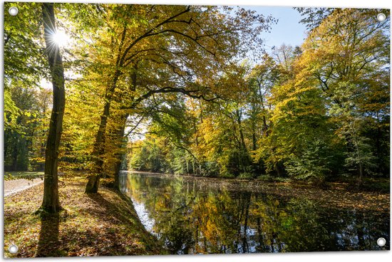 Tuinposter – Zonnestralen door de Bladeren van de Bomen op Sloot - 90x60 cm Foto op Tuinposter (wanddecoratie voor buiten en binnen)