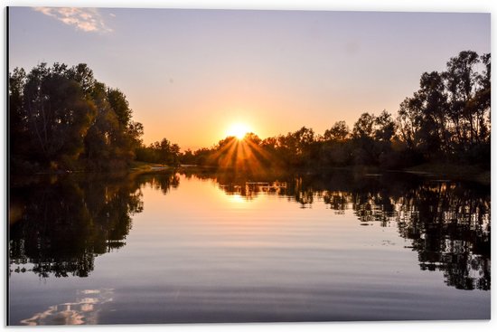 Dibond - Zon Verdwijnend achter Bomen langs Meer - 60x40 cm Foto op Aluminium (Wanddecoratie van metaal)