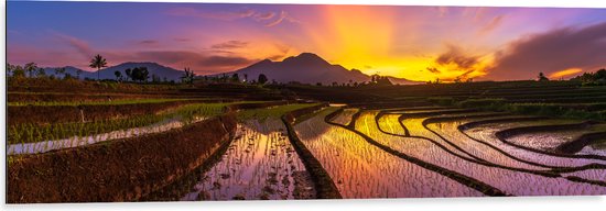 Dibond - Zonsopkomst achter Berg bij de Indonesische Rijstenvelden - 120x40 cm Foto op Aluminium (Wanddecoratie van metaal)