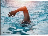 Dibond - Zwemmende Man in het Blauwe Water - 80x60 cm Foto op Aluminium (Met Ophangsysteem)
