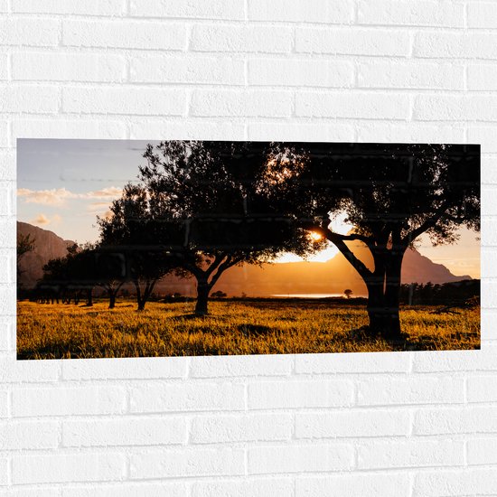 Muursticker - Zonnestralen van Felle Zon door Silhouetten van de Bomen - 100x50 cm Foto op Muursticker